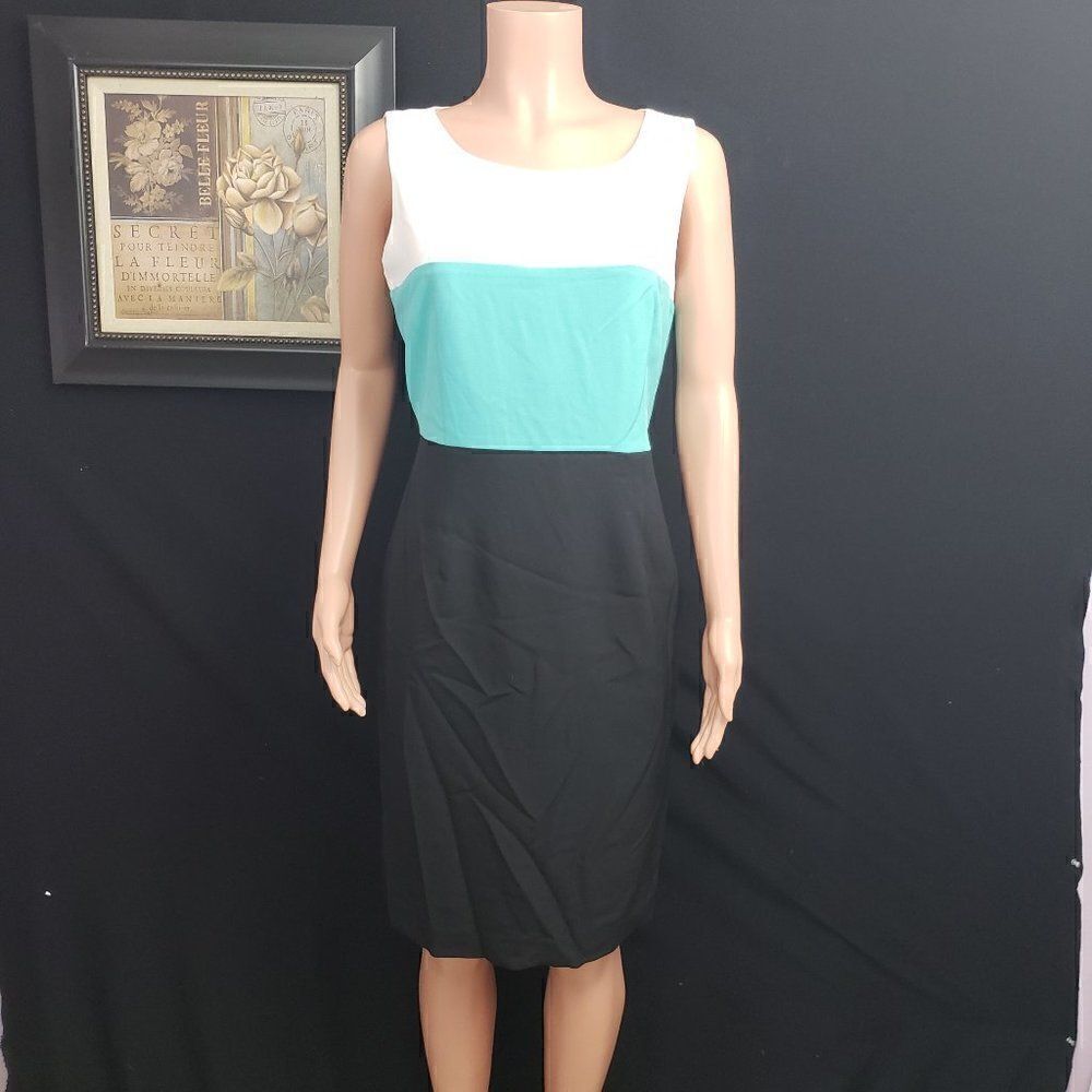BLACKโLABELโBlackโWhiteย GreeโDressโSizeโ10